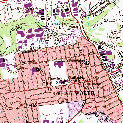 Topographic Map of David Brearley High School, NJ