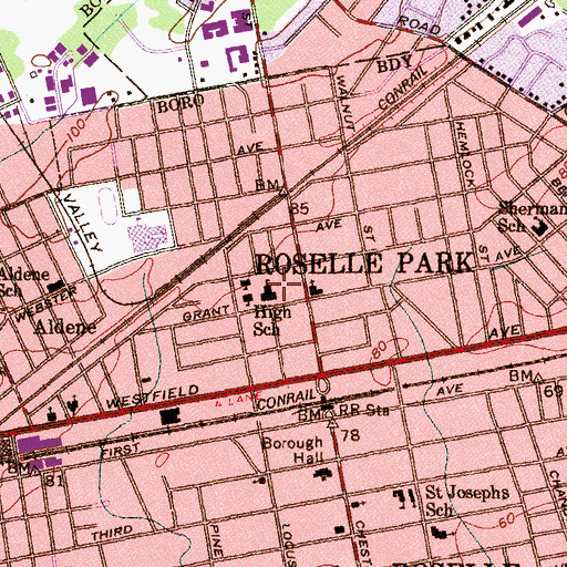 Topographic Map of Roselle Park Middle School, NJ
