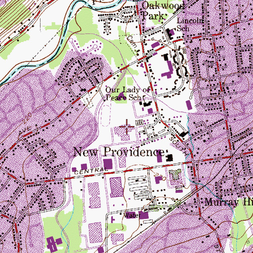 Topographic Map of New Providence High School, NJ