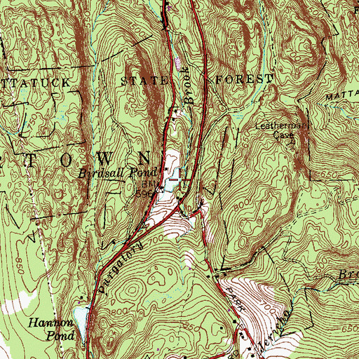Topographic Map of Birdsall Pond, CT