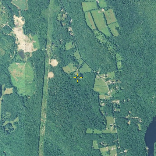Aerial/Satellite Image of Bishop Pond, CT