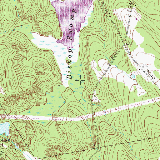 Topographic Map of Bishop Swamp, CT