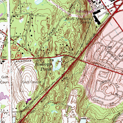 Topographic Map of Bishops Pond, CT