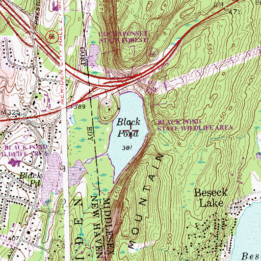 Topographic Map of Black Pond, CT