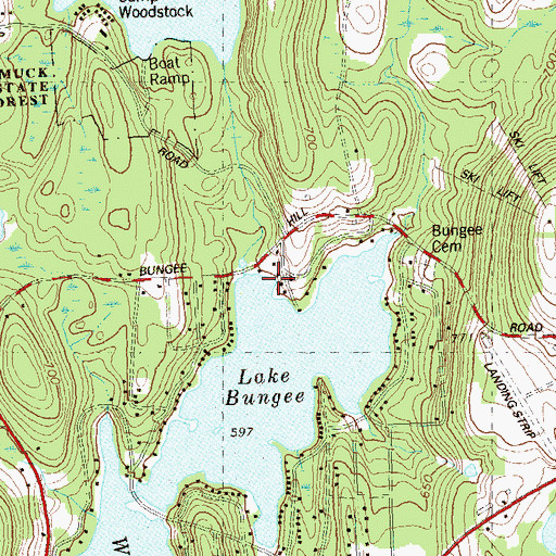 Topographic Map of Black Pond Brook, CT