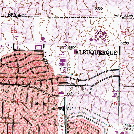Topographic Map of Congregation Albert, NM