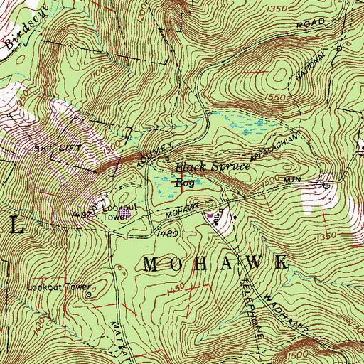 Topographic Map of Black Spruce Bog, CT