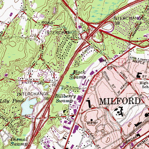 Topographic Map of Black Swamp, CT