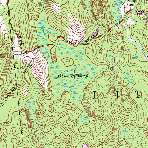 Topographic Map of Blue Swamp, CT