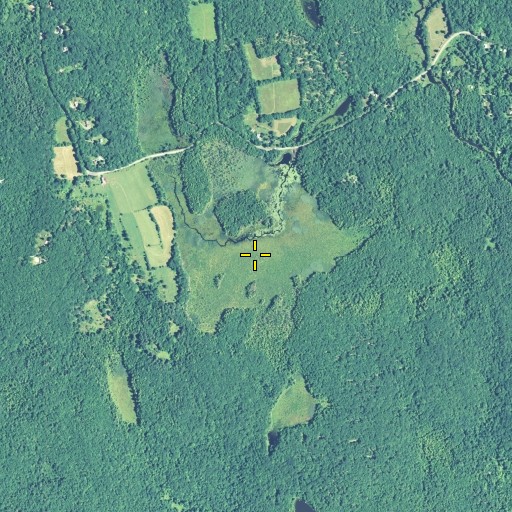 Aerial/Satellite Image of Blue Swamp, CT