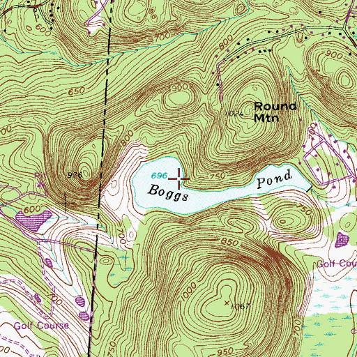 Topographic Map of Boggs Pond, CT