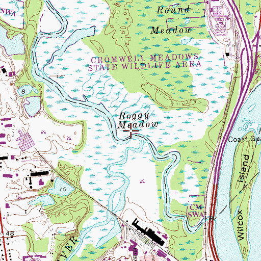 Topographic Map of Boggy Meadow, CT