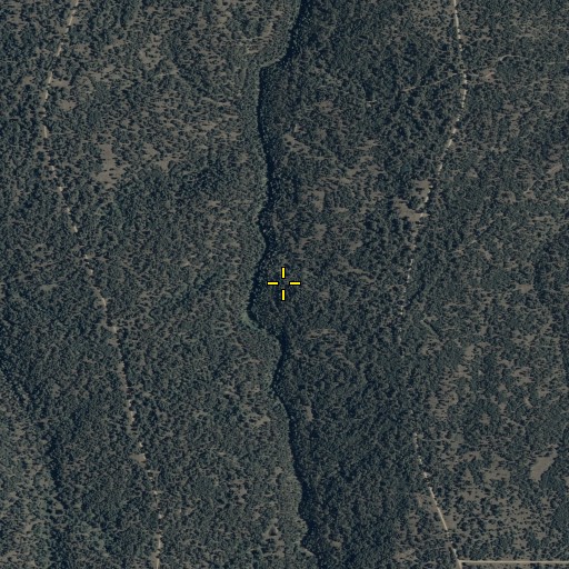 Aerial/Satellite Image of Schneider Spring, AZ