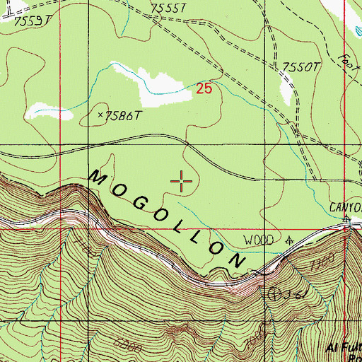 Topographic Map of Rim Recreation Site, AZ