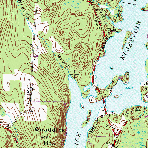 Topographic Map of Brandy Brook, CT
