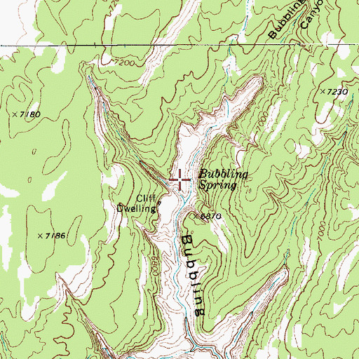 Topographic Map of Bubbling Spring, AZ