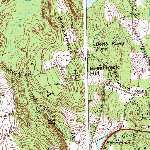 Topographic Map of Breakneck Hill, CT