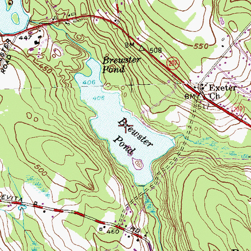 Topographic Map of Brewster Pond, CT