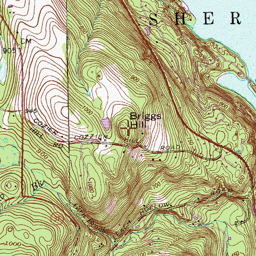 Topographic Map of Briggs Hill, CT