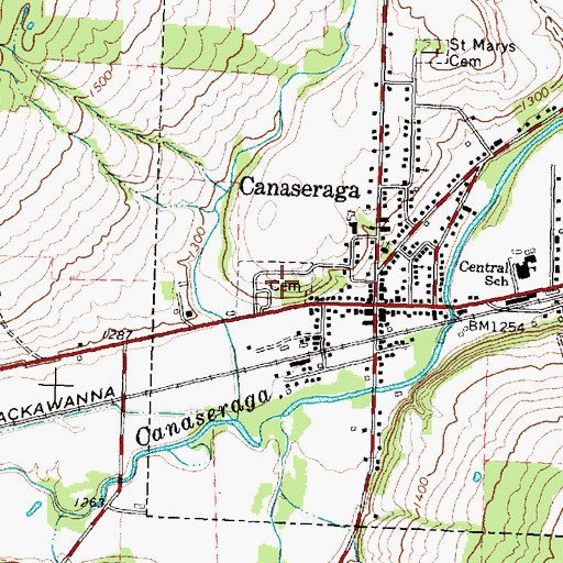 Topographic Map of Canaseraga Cemetery, NY
