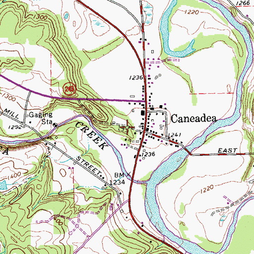 Topographic Map of Caneadea Cemetery, NY