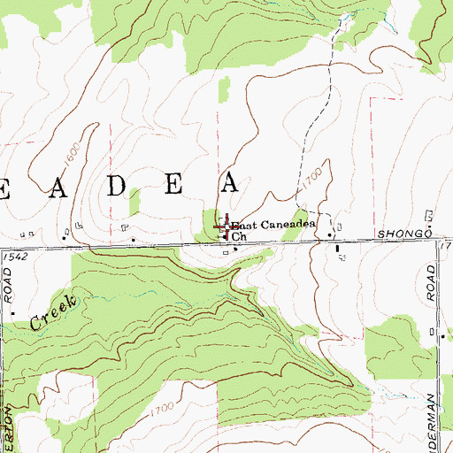 Topographic Map of East Caneadea Cemetery, NY