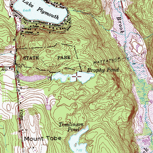 Topographic Map of Brophy Pond, CT