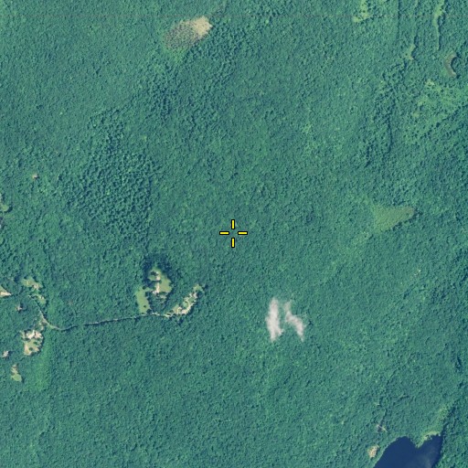 Aerial/Satellite Image of Brown Hill, CT