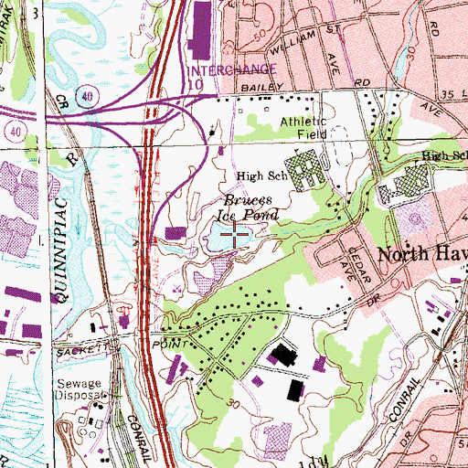 Topographic Map of Bruces Ice Pond, CT