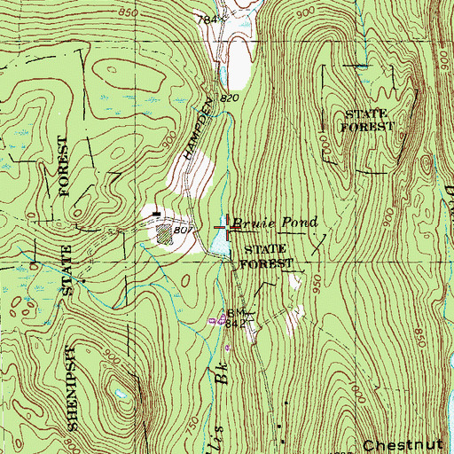 Topographic Map of Bruie Pond, CT