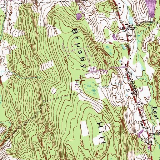 Topographic Map of Brushy Hill, CT