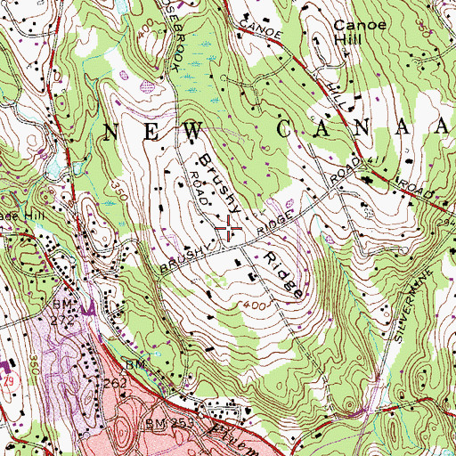 Topographic Map of Brushy Ridge, CT