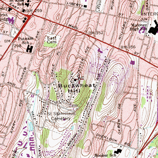 Topographic Map of Buckwheat Hill, CT