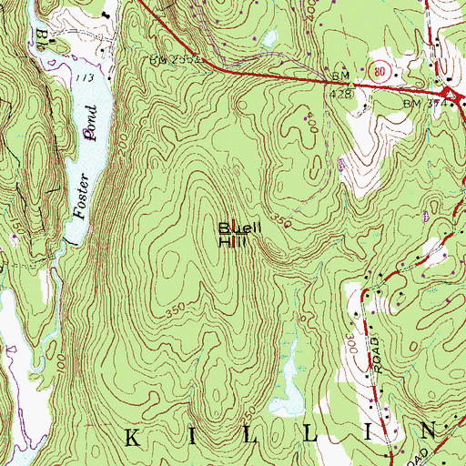 Topographic Map of Buell Hill, CT