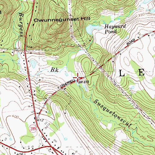 Topographic Map of Burgess Brook, CT