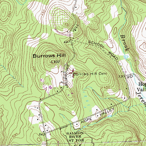 Topographic Map of Burrows Hill Cemetery, CT