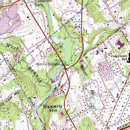 Topographic Map of Burrs Bridges, CT