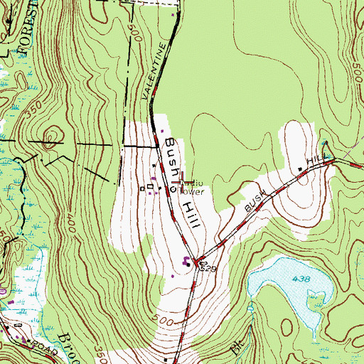 Topographic Map of Bush Hill, CT