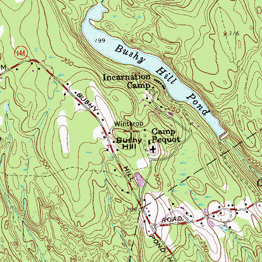 Topographic Map of Bushy Hill, CT
