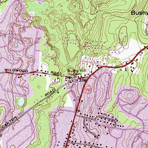 Topographic Map of Bushy Hill Cemetery, CT