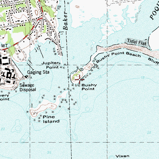 Topographic Map of Bushy Point, CT
