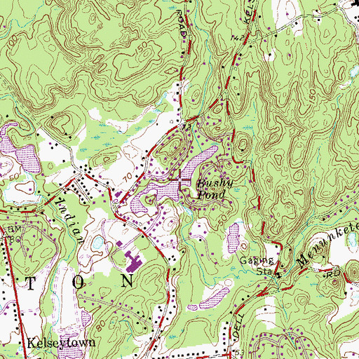 Topographic Map of Bushy Pond, CT