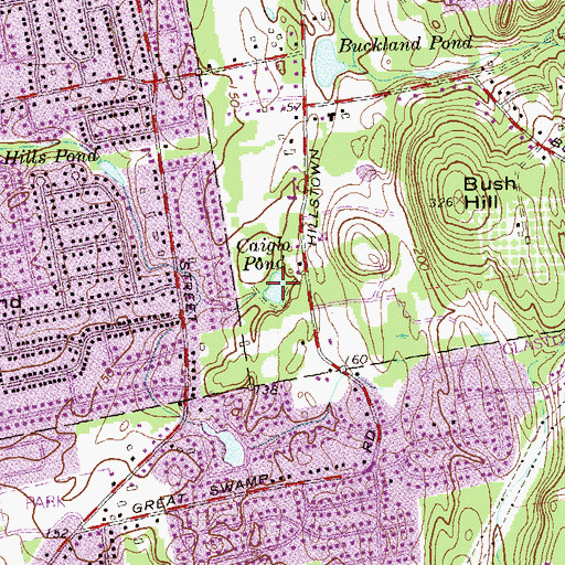Topographic Map of Caiglo Pond, CT