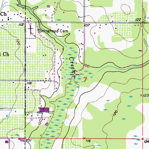 Topographic Map of Morgan Creek, FL