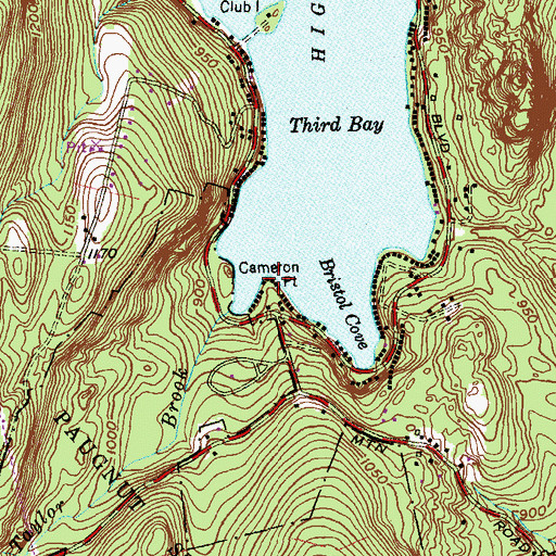 Topographic Map of Cameron Point, CT