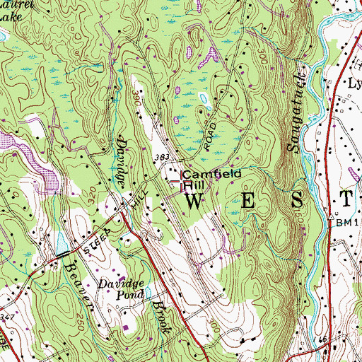 Topographic Map of Camfield Hill, CT