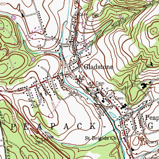 Topographic Map of Gladstone Station, NJ