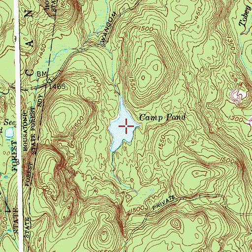 Topographic Map of Camp Pond, CT