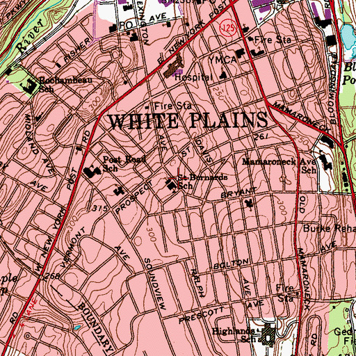 Topographic Map of Saint Bernard's Church, NY