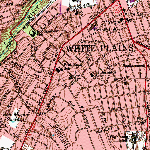 Topographic Map of Saint Bartholomews Church, NY